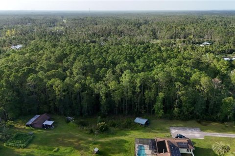 Land in Ormond Beach, Florida № 1301172 - photo 5