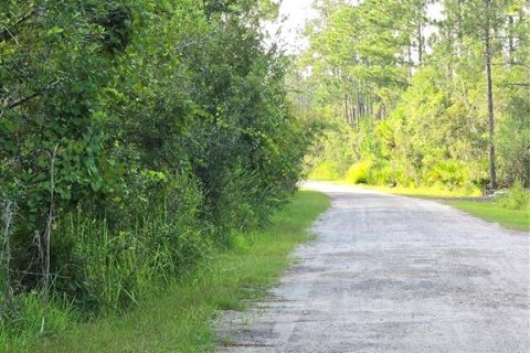 Land in Ormond Beach, Florida № 1301172 - photo 11