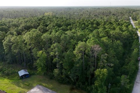 Terreno en venta en Ormond Beach, Florida № 1301172 - foto 6