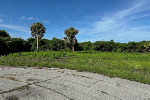 Terreno en venta en Port Charlotte, Florida № 1301171 - foto 2