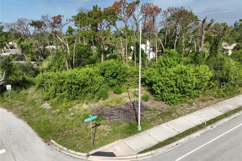 Terreno en venta en Englewood, Florida № 620677 - foto 5