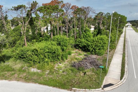 Купить земельный участок в Энглвуд, Флорида № 620677 - фото 6