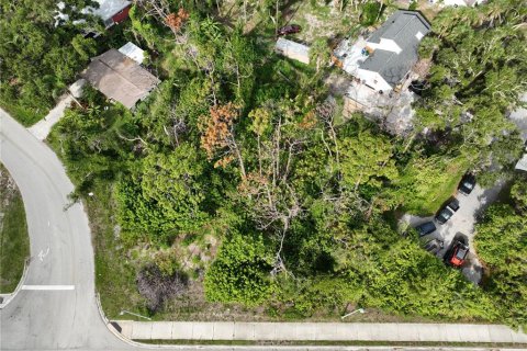 Купить земельный участок в Энглвуд, Флорида № 620677 - фото 4