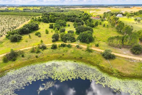 Land in Clermont, Florida № 1351544 - photo 4