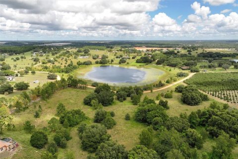 Land in Clermont, Florida № 1351544 - photo 15