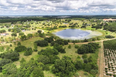 Land in Clermont, Florida № 1351544 - photo 16