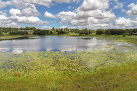 Land in Clermont, Florida № 1351544 - photo 11