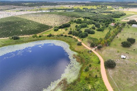 Terreno en venta en Clermont, Florida № 1351544 - foto 9