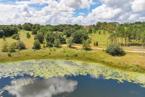 Terreno en venta en Clermont, Florida № 1351544 - foto 10