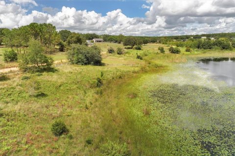 Land in Clermont, Florida № 1351544 - photo 12