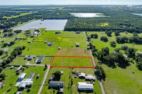 Terreno en venta en Fish Hawk, Florida № 1351545 - foto 5