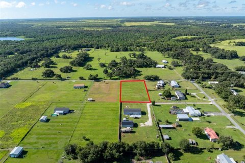 Terreno en venta en Fish Hawk, Florida № 1351545 - foto 11