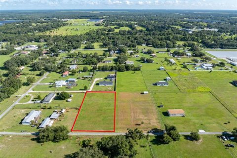 Terreno en venta en Fish Hawk, Florida № 1351545 - foto 1