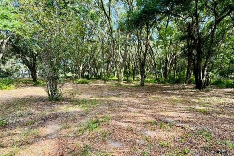 Terreno en venta en Weirsdale, Florida № 1276981 - foto 1