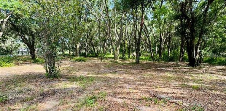 Terreno en Weirsdale, Florida № 1276981