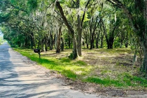 Land in Weirsdale, Florida № 1276981 - photo 9