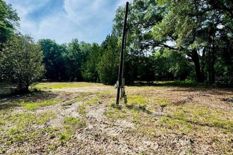 Terreno en venta en Weirsdale, Florida № 1276981 - foto 5