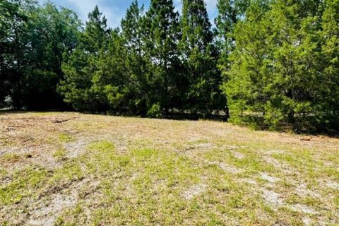 Terreno en venta en Weirsdale, Florida № 1276981 - foto 2