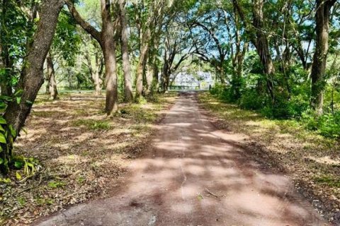 Land in Weirsdale, Florida № 1276981 - photo 8