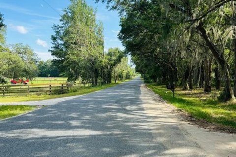 Land in Weirsdale, Florida № 1276981 - photo 10