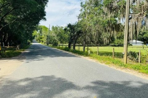 Land in Weirsdale, Florida № 1276981 - photo 11