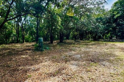 Terreno en venta en Weirsdale, Florida № 1276981 - foto 4