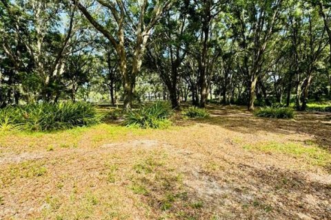 Terreno en venta en Weirsdale, Florida № 1276981 - foto 6