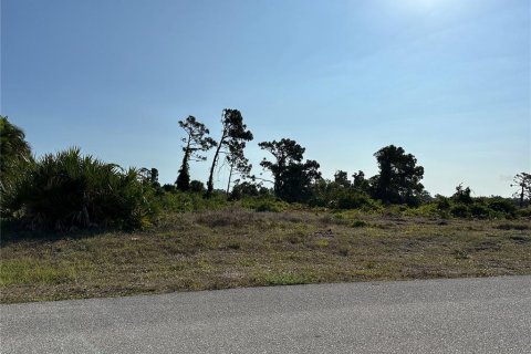 Terreno en venta en Rotonda, Florida № 1196983 - foto 5