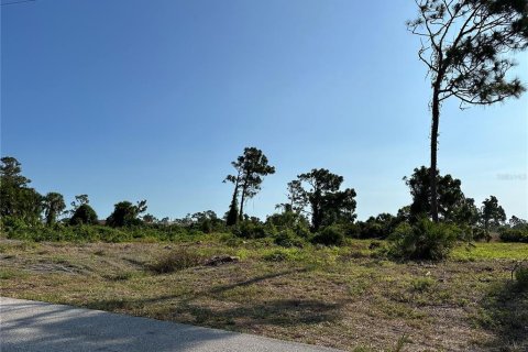 Terreno en venta en Rotonda, Florida № 1196983 - foto 1