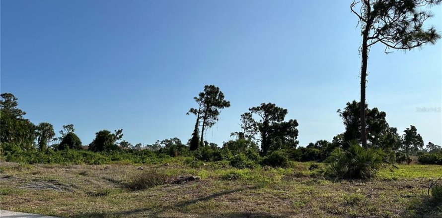 Terreno en Rotonda, Florida № 1196983