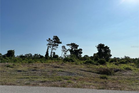 Terreno en venta en Rotonda, Florida № 1196983 - foto 2