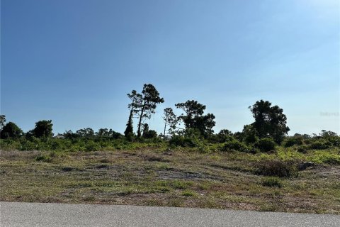 Terreno en venta en Rotonda, Florida № 1196983 - foto 6