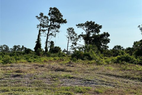 Terreno en venta en Rotonda, Florida № 1196983 - foto 8