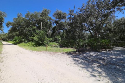 Land in Punta Gorda, Florida № 1323561 - photo 20