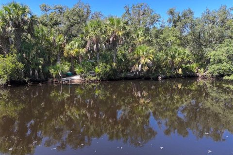 Land in Punta Gorda, Florida № 1323561 - photo 26