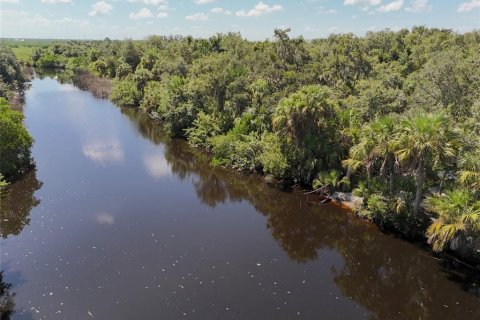 Land in Punta Gorda, Florida № 1323561 - photo 29