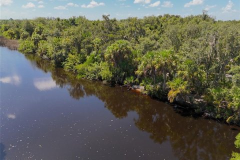 Land in Punta Gorda, Florida № 1323561 - photo 28