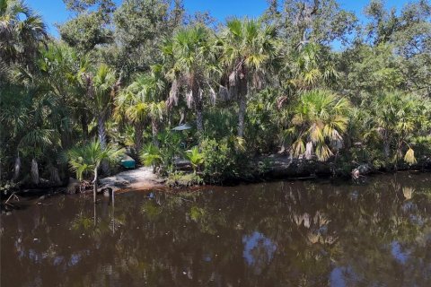 Land in Punta Gorda, Florida № 1323561 - photo 27