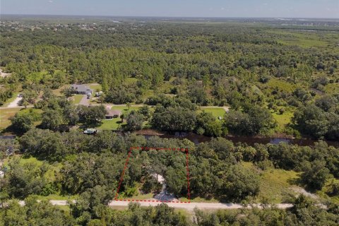 Terreno en venta en Punta Gorda, Florida № 1323561 - foto 21