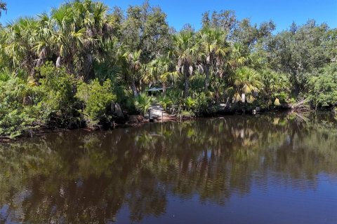 Land in Punta Gorda, Florida № 1323561 - photo 25