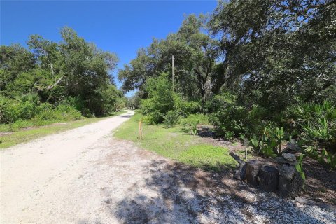 Land in Punta Gorda, Florida № 1323561 - photo 19