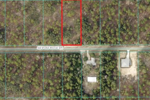 Land in Dunnellon, Florida № 1308925 - photo 1