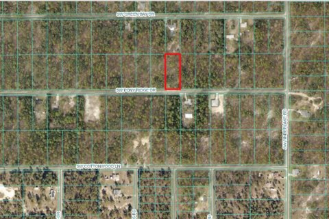 Land in Dunnellon, Florida № 1308925 - photo 2