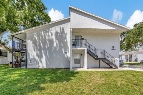 Condo in Tampa, Florida, 1 bedroom  № 1344679 - photo 2