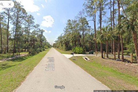 Купить земельный участок в Нейплс, Флорида № 997855 - фото 3