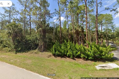Terrain à vendre à Naples, Floride № 997855 - photo 4