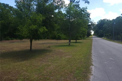 Terrain à vendre à Ocala, Floride № 1295898 - photo 6