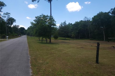 Terrain à vendre à Ocala, Floride № 1295898 - photo 4