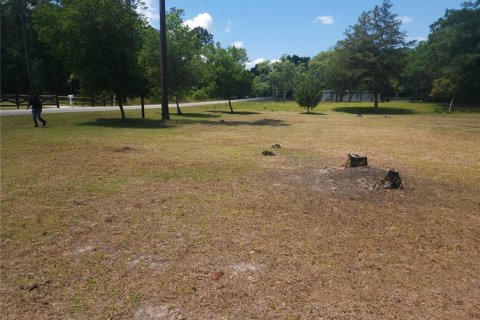 Terreno en venta en Ocala, Florida № 1295898 - foto 13