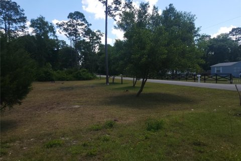 Terreno en venta en Ocala, Florida № 1295898 - foto 8